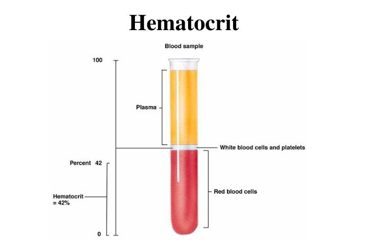 تحلیل آزمایش پزشکی، هماتوکریت یا HCT